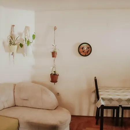Yolanda * Póla