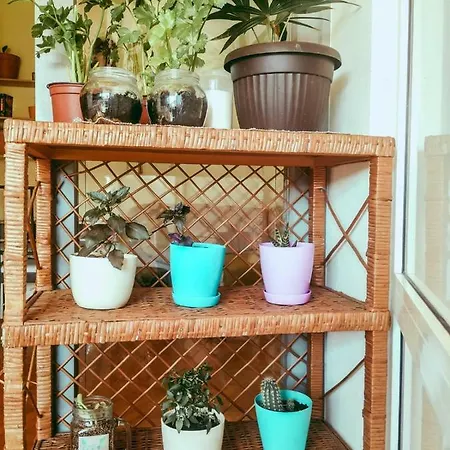 Apartman Yolanda Póla