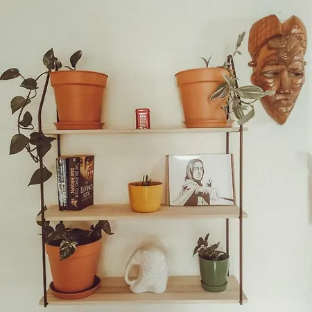 Yolanda Apartment *